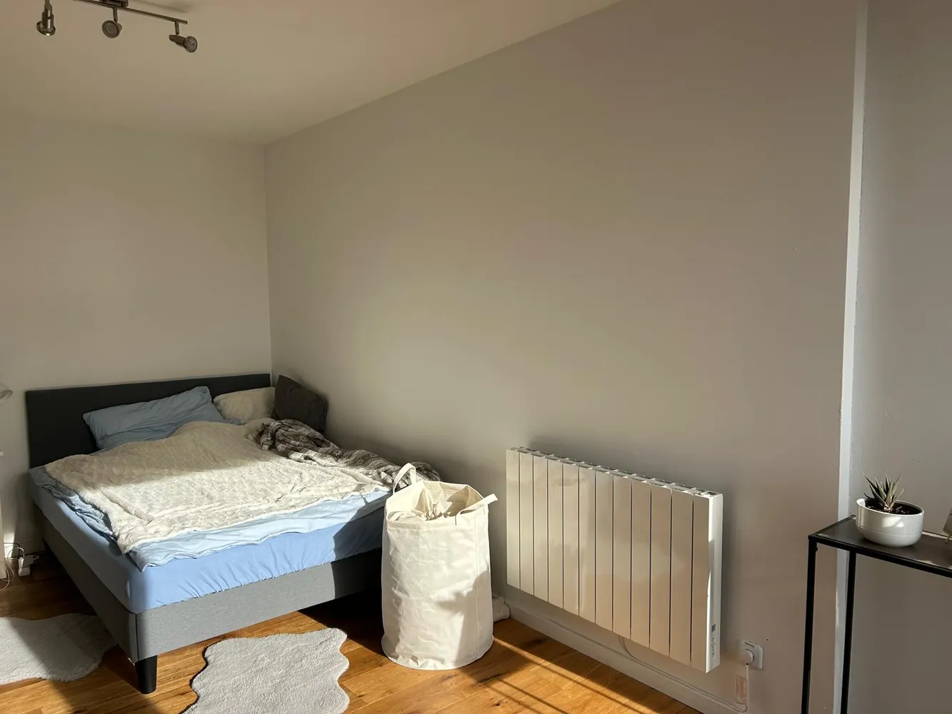 WG-Zimmer mit 15 m² in Heidelberg – Bild 3