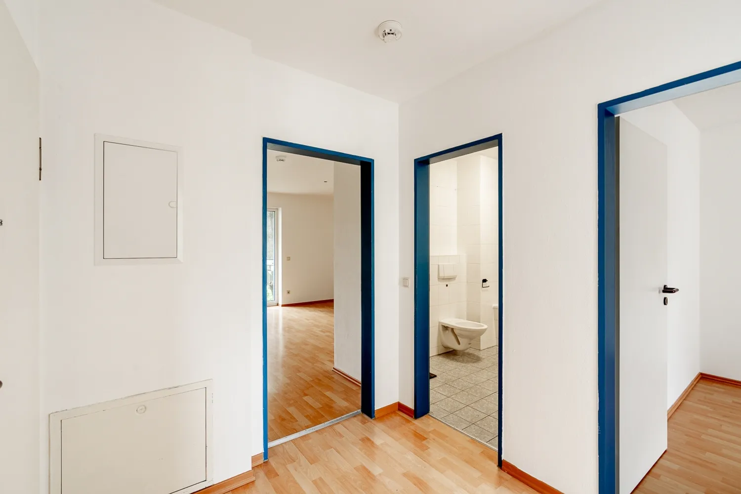 3 Zimmer Wohnung mit 81 m² in Dresden – Bild 2