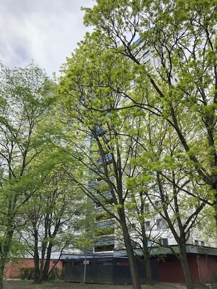 2 Zimmer Wohnung mit 69 m² in Berlin – Bild 1