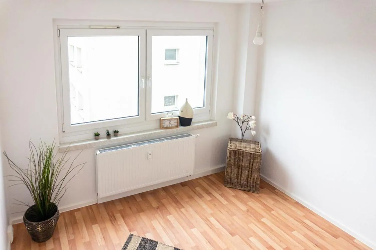 2 room apartment with 39 m² in Chemnitz – Photo 5