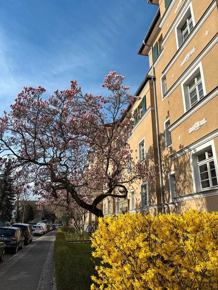 5 Zimmer Wohnung mit 143 m² in Eilenburg – Bild 1