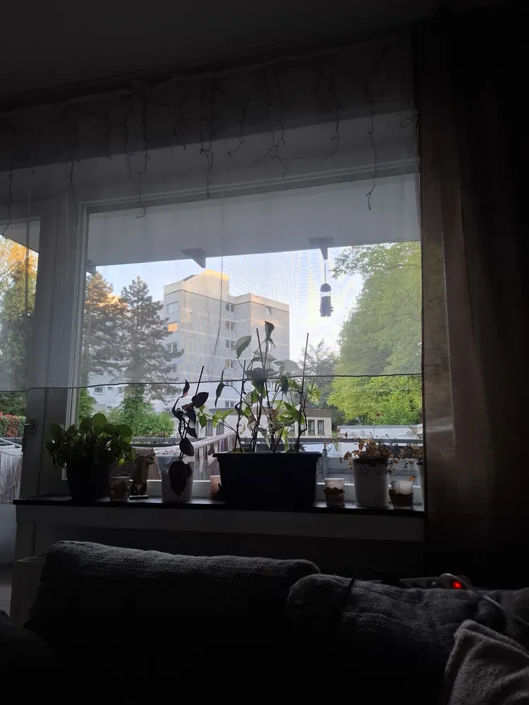 4 Zimmer Wohnung mit 64 m² in Bochum – Bild 2