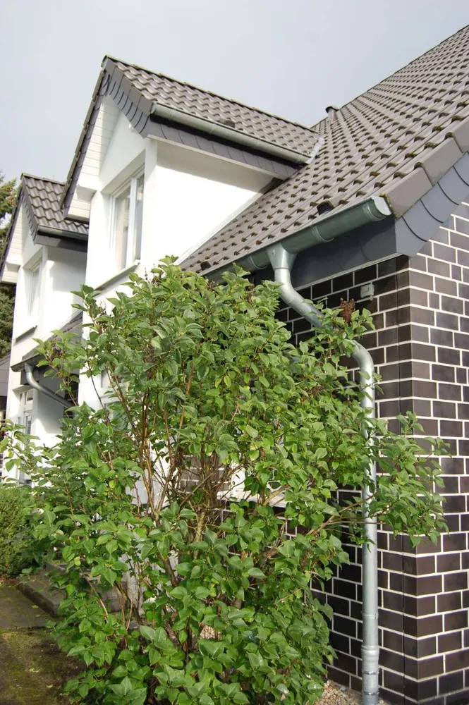 5 Zimmer Haus mit 121 m² in Paderborn – Bild 5