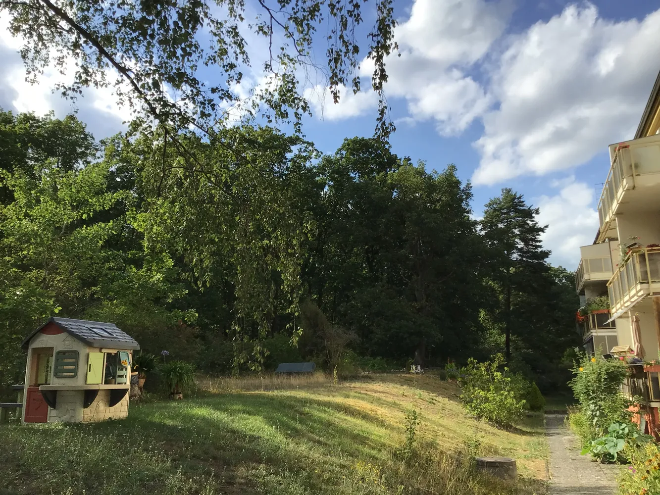 4 Zimmer Wohnung mit 80 m² in Potsdam – Bild 3
