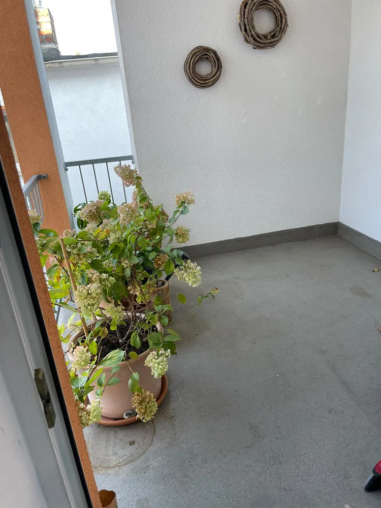2 room apartment with 46 m² in Bonn – Photo 3