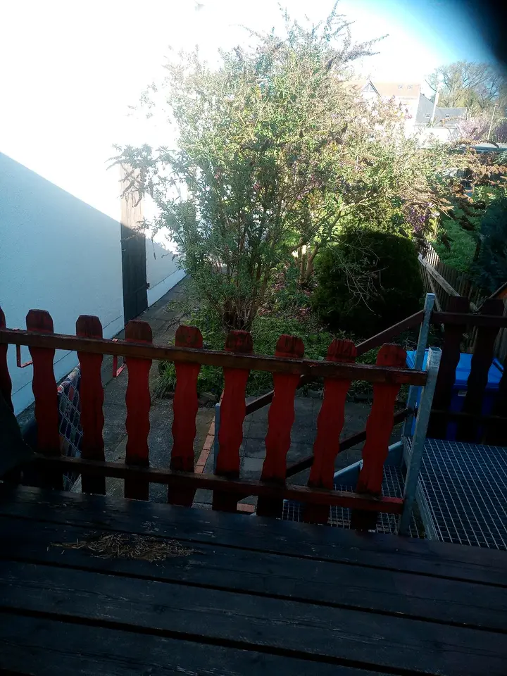 6 Zimmer Haus mit 120 m² in Zwickau – Bild 3
