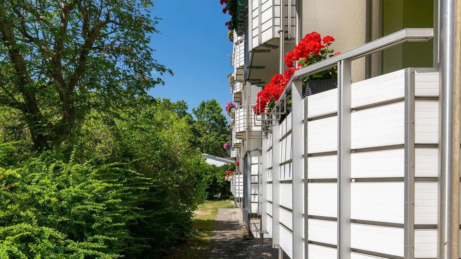 3 room apartment with 61 m² in Leipzig – Photo 6