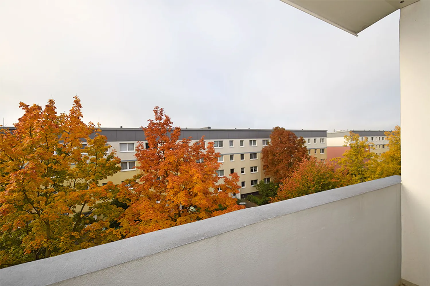 3 Zimmer Wohnung mit 57 m² in Halle (Saale) – Bild 1