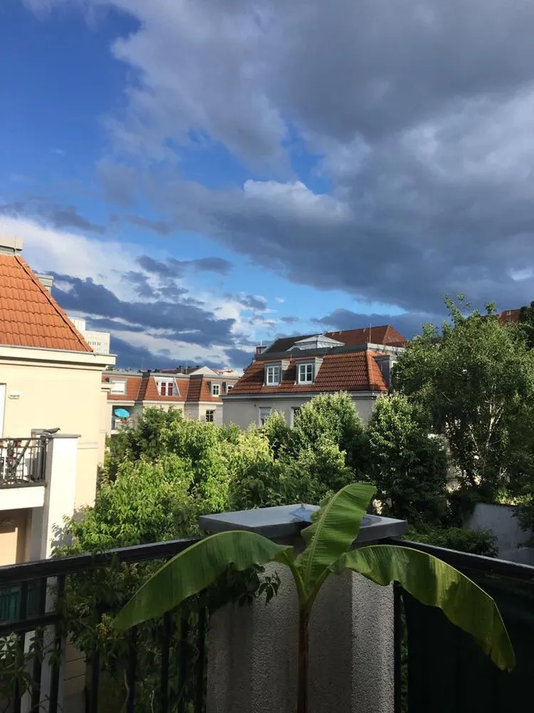 4 Zimmer Wohnung mit 93 m² in Offenbach am Main – Bild 6
