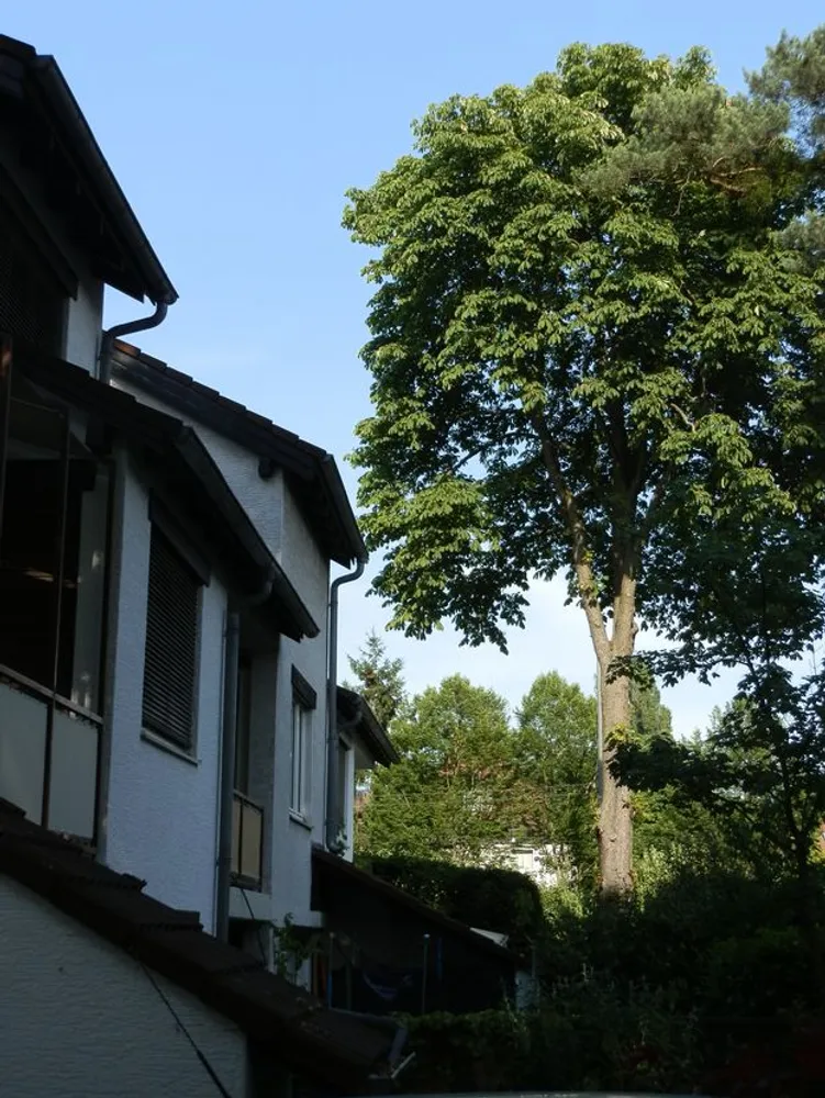 6 Zimmer Haus mit 148 m² in Darmstadt – Bild 5