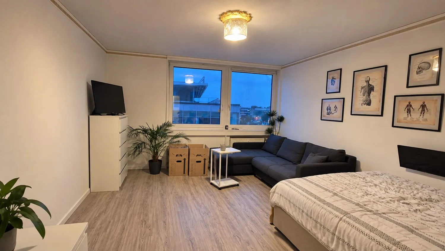 1 Zimmer Wohnung mit 33 m² in Braunschweig – Bild 2