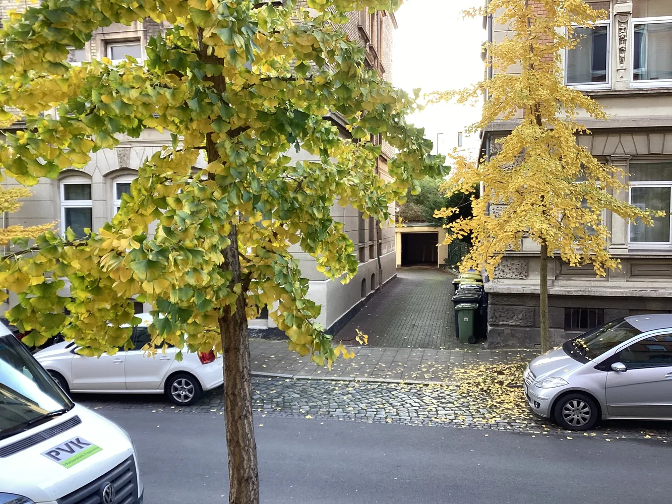 3 Zimmer Wohnung mit 74 m² in Braunschweig – Bild 4