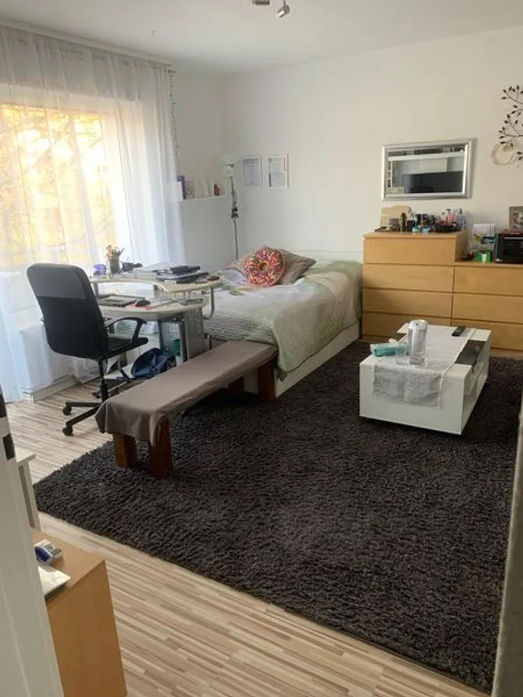 1 room apartment with 40 m² in Darmstadt – Photo 3