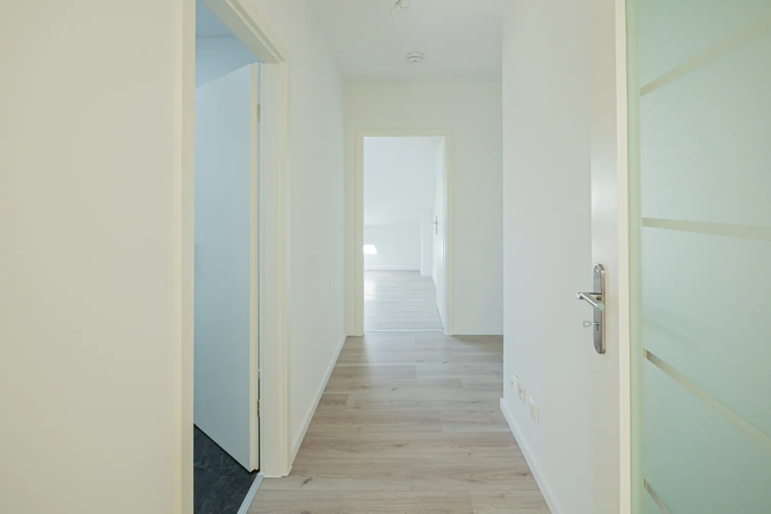 2 Zimmer Wohnung mit 51 m² in Dresden – Bild 4