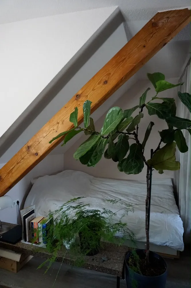 1 Zimmer Wohnung mit 31 m² in Köln – Bild 4
