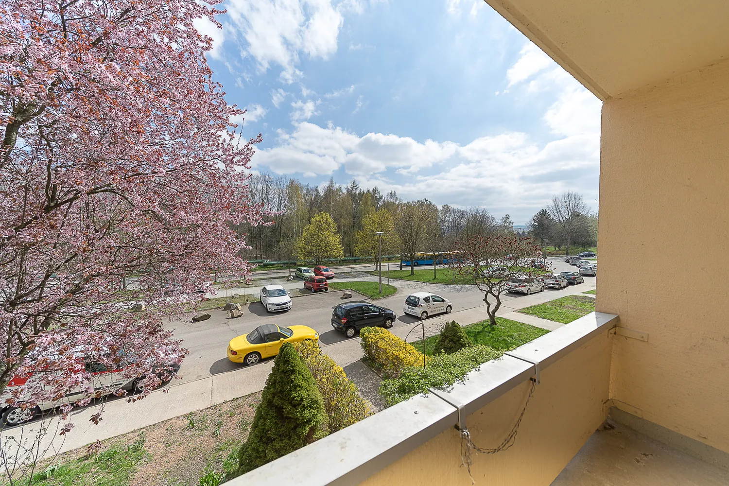 7 Zimmer Wohnung mit 125 m² in Chemnitz – Bild 4