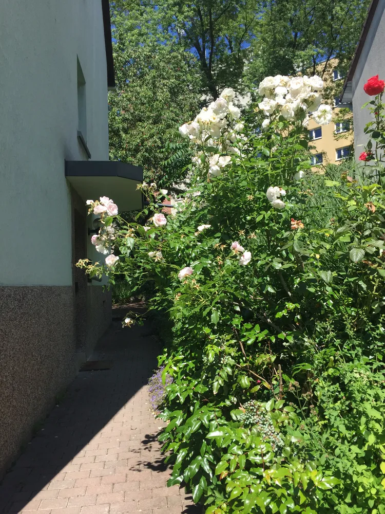 Shared room with 25 m² in Frankfurt am Main – Photo 1