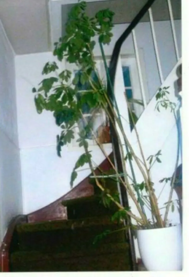 9 Zimmer Haus mit 110 m² in Eschwege – Bild 5