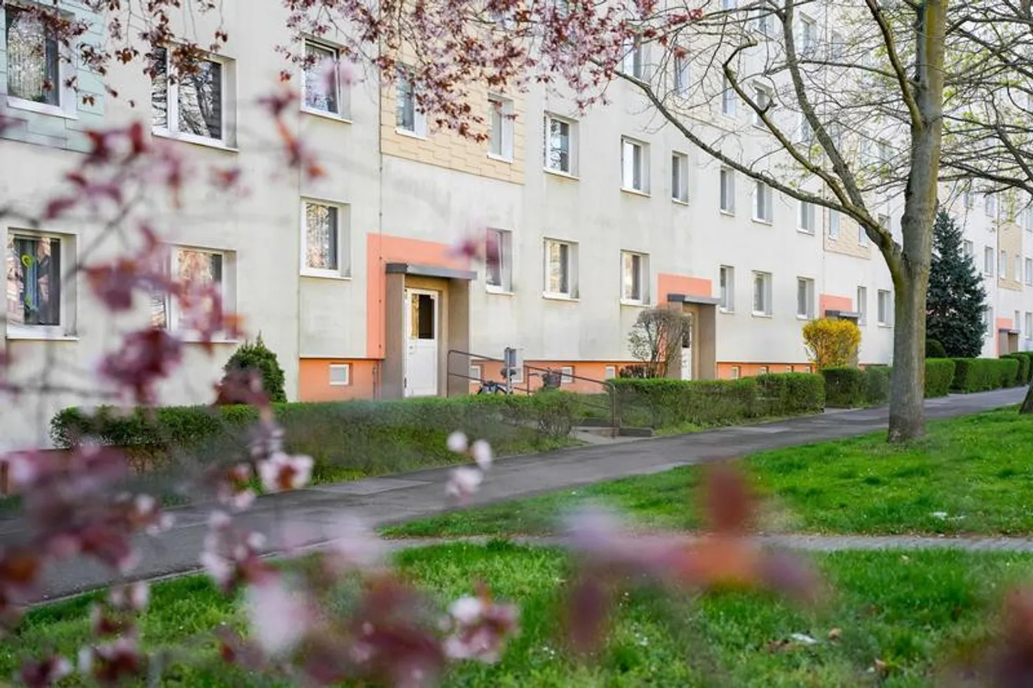 3 Zimmer Wohnung mit 57 m² in Magdeburg – Bild 6