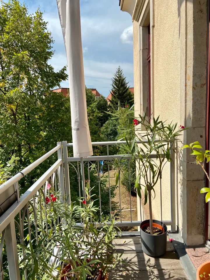 3 Zimmer Wohnung mit 124 m² in Dresden – Bild 3