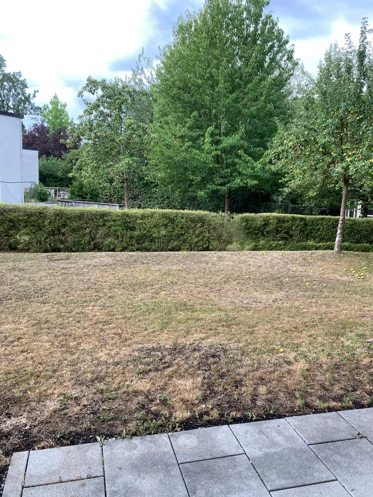 2 Zimmer Wohnung mit 71 m² in Augsburg – Bild 4
