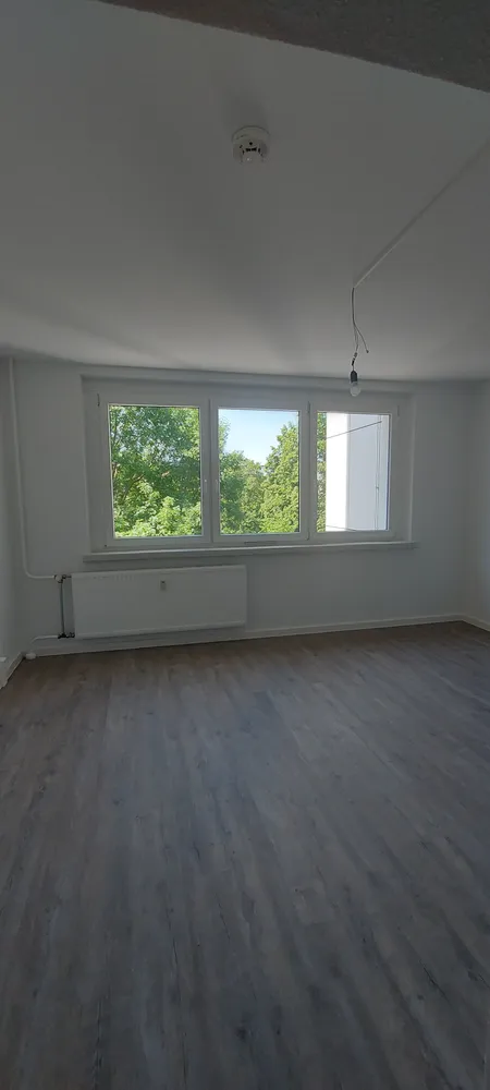 3 Zimmer Wohnung mit 80 m² in Dresden – Bild 5