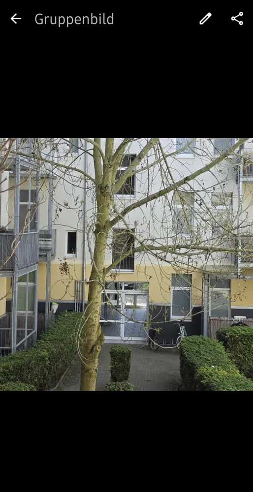 3 Zimmer Wohnung mit 67 m² in Magdeburg – Bild 7