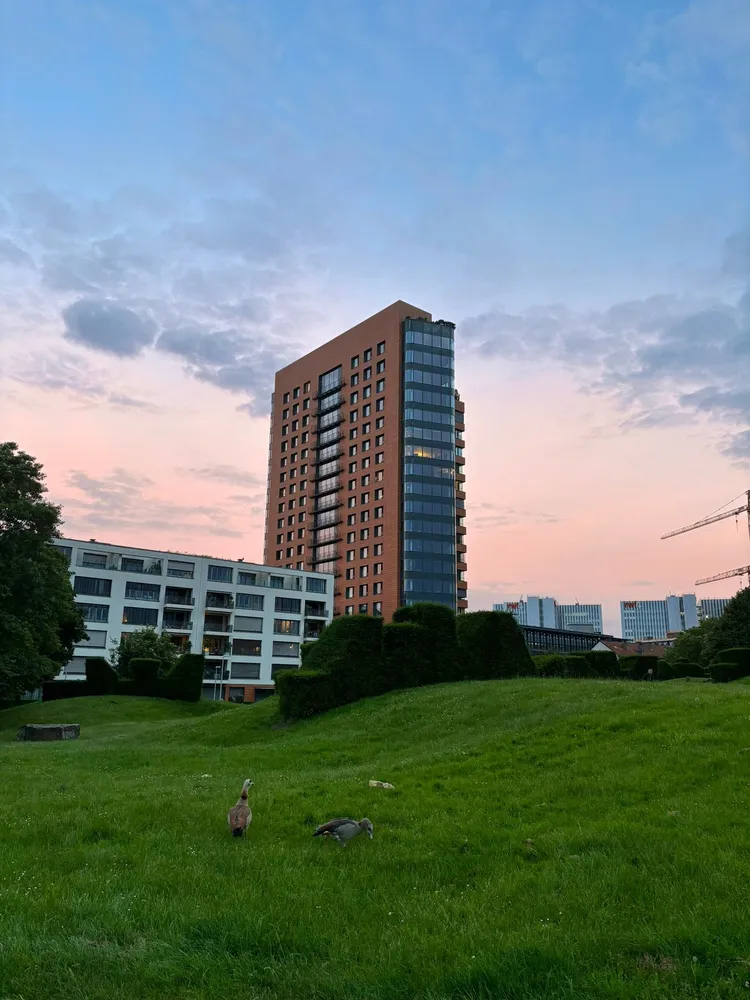 2 Zimmer Wohnung mit 62 m² in Düsseldorf – Bild 5