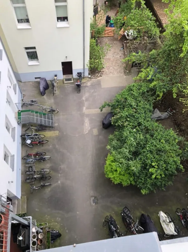 1 room apartment with 34 m² in Berlin – Photo 12