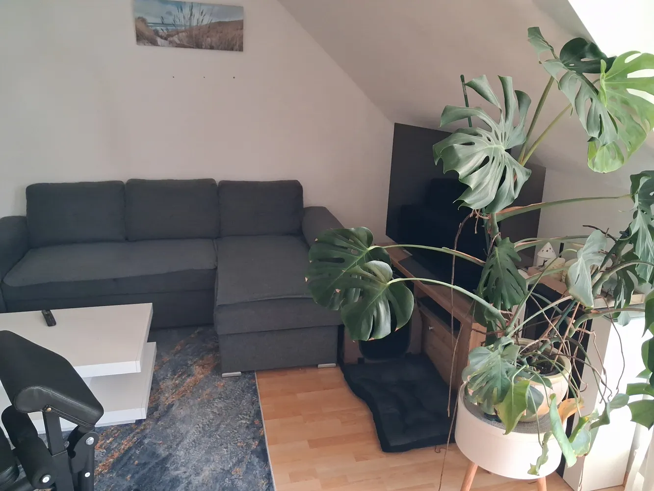 2 Zimmer Wohnung mit 52 m² in Zwickau – Bild 5
