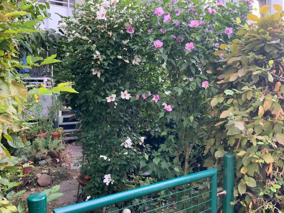 3 room apartment with 76 m² in Monheim am Rhein – Photo 3