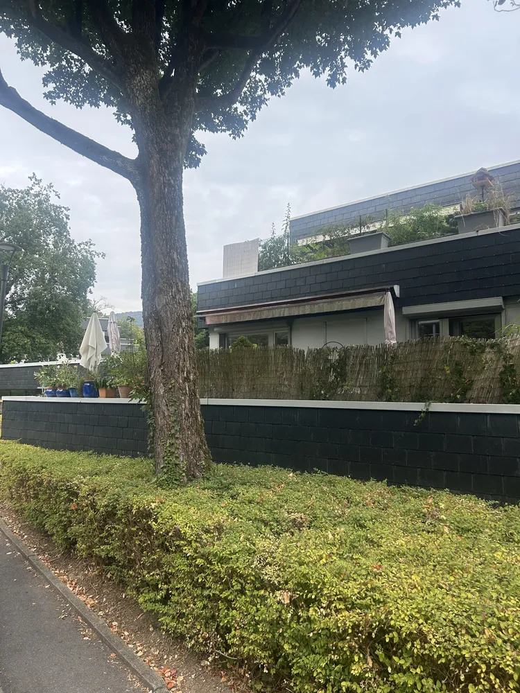 4 Zimmer Wohnung mit 120 m² in Heidelberg – Bild 5