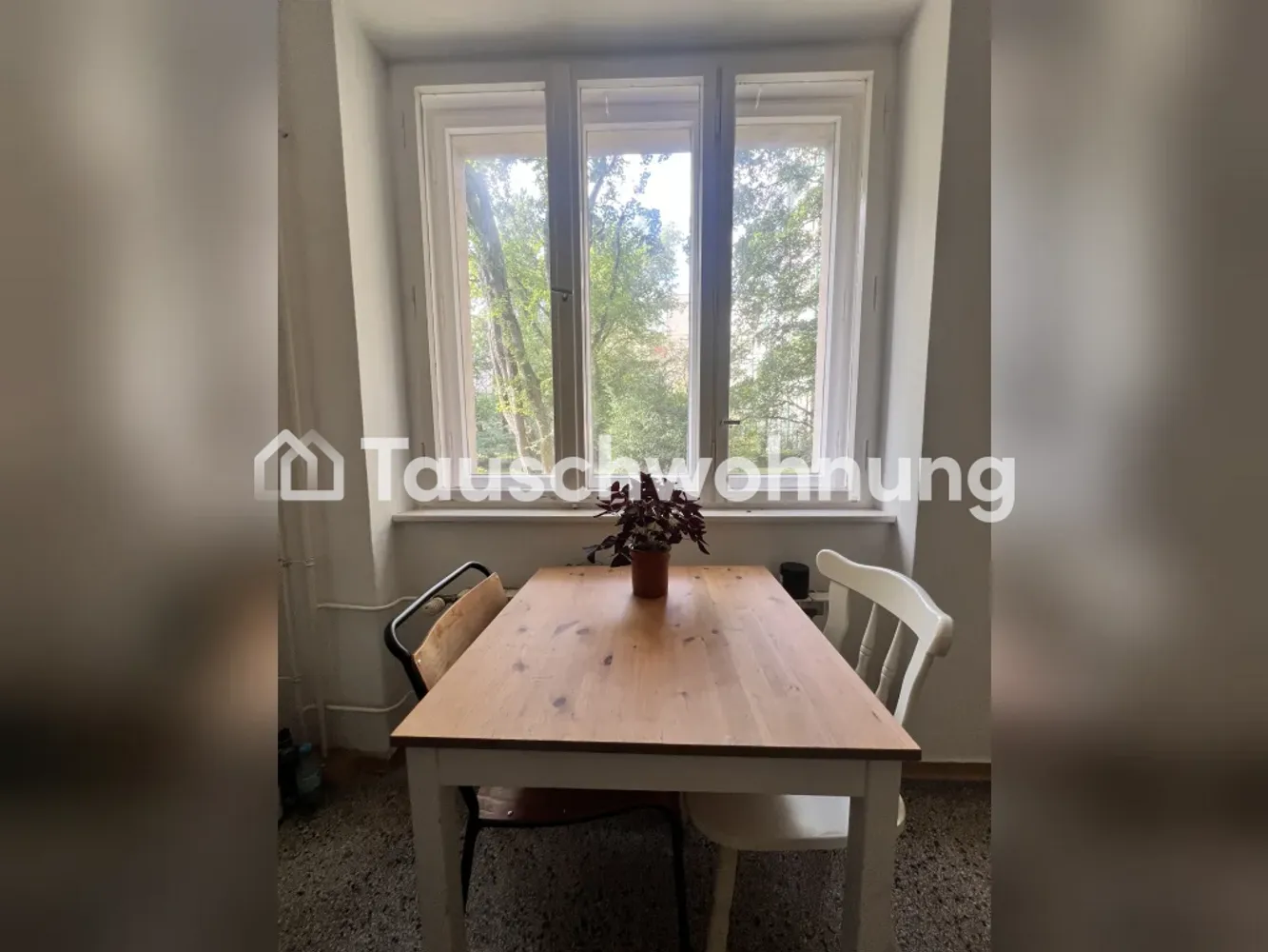 2 room apartment with 53 m² in Berlin – Photo 6
