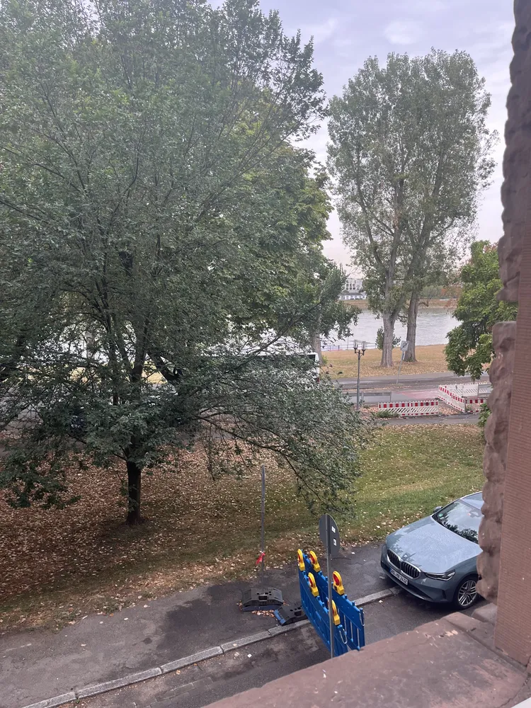 WG-Zimmer mit 21 m² in Mannheim – Bild 6