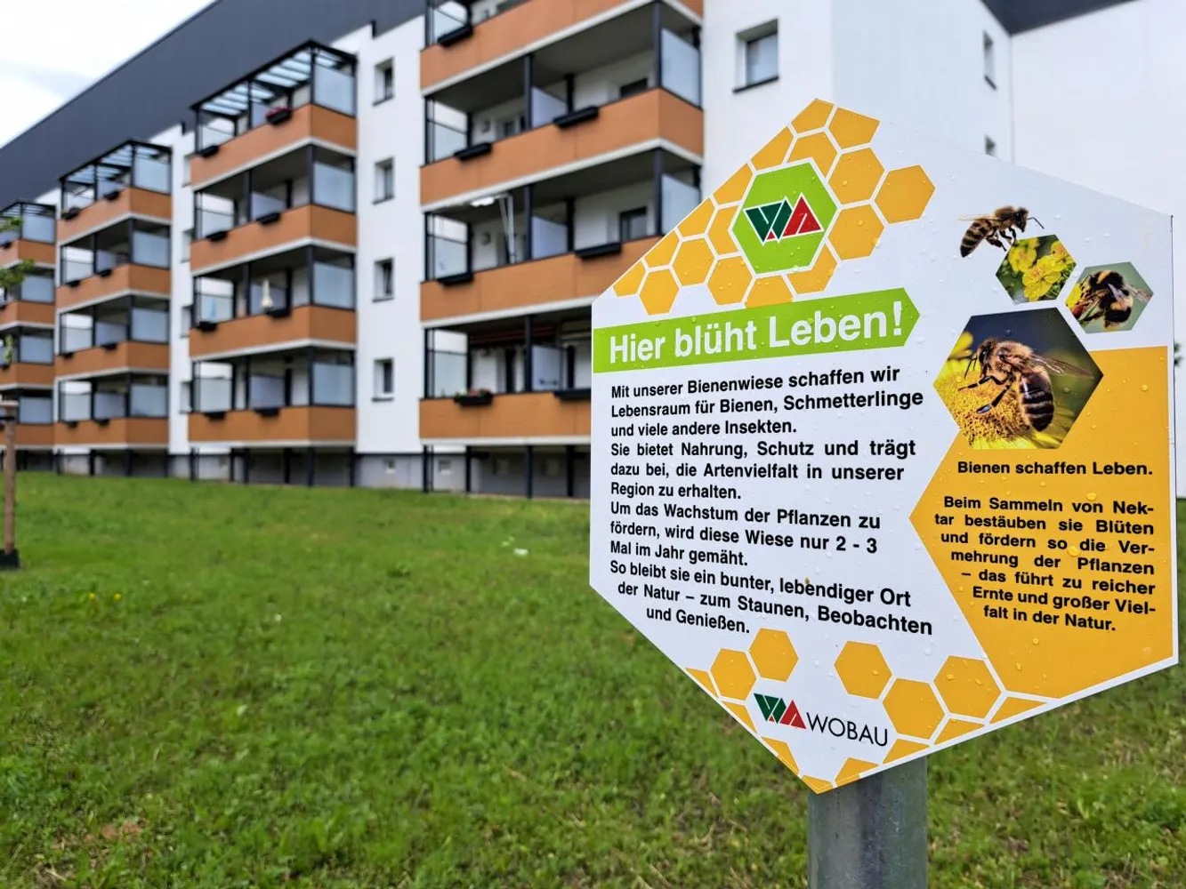 3 Zimmer Wohnung mit 58 m² in Magdeburg – Bild 5