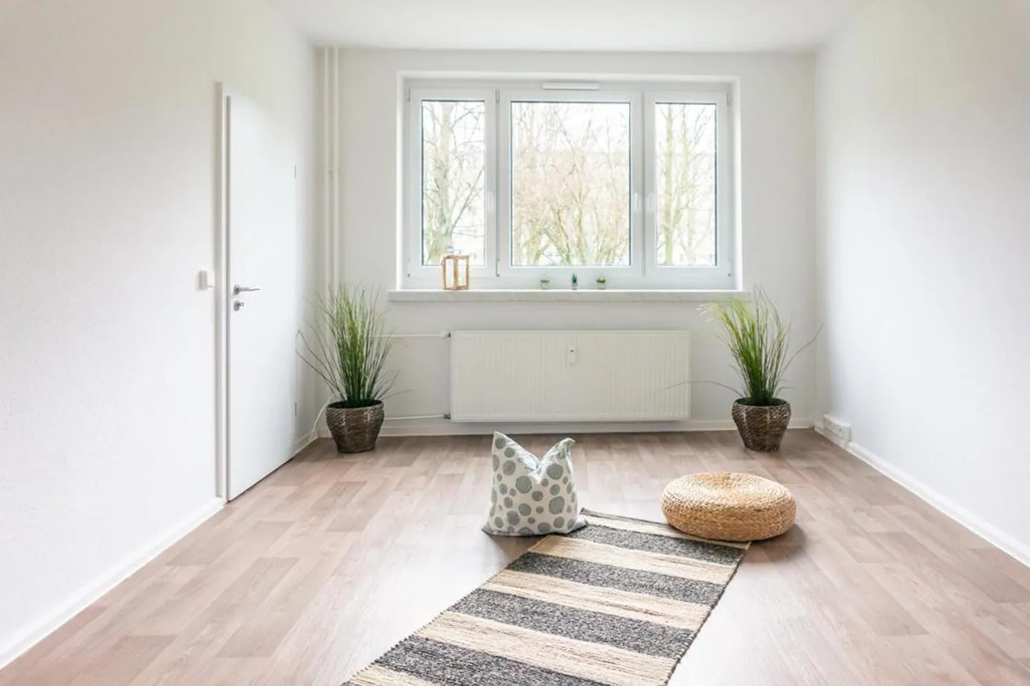 2 room apartment with 46 m² in Chemnitz – Photo 2