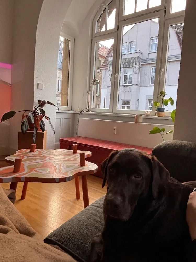 3 Zimmer Wohnung mit 78 m² in Stuttgart – Bild 3