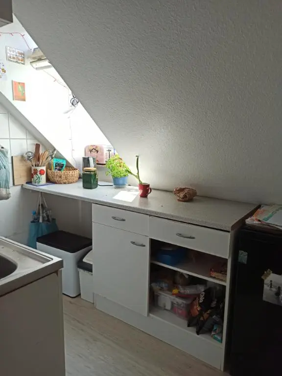 2 Zimmer Wohnung mit 41 m² in Dresden – Bild 4
