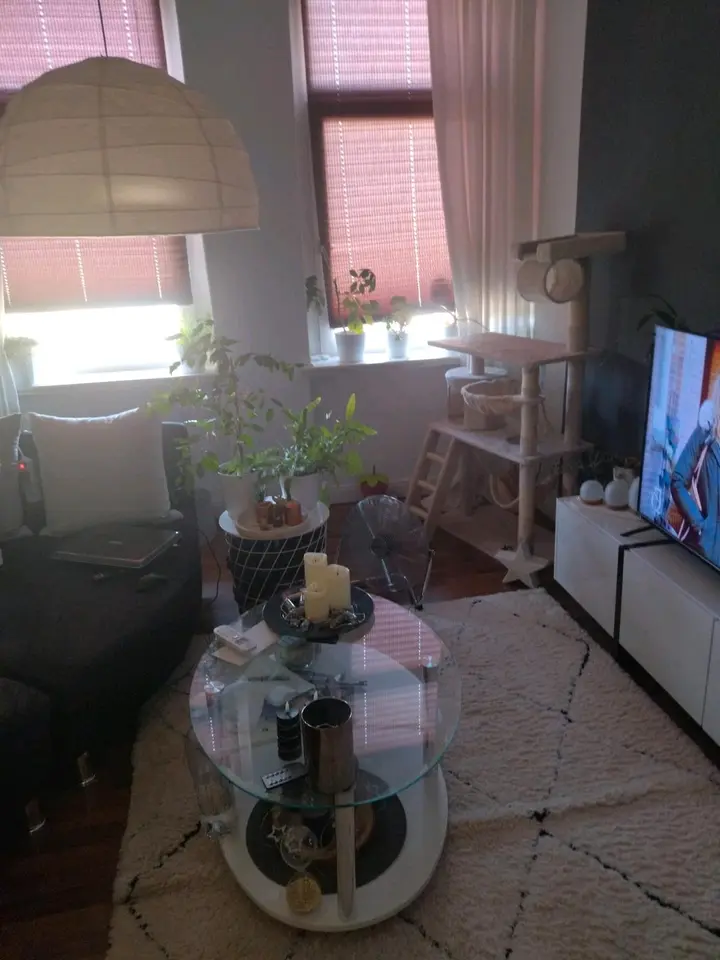 2 Zimmer Wohnung mit 38 m² in Braunschweig – Bild 2