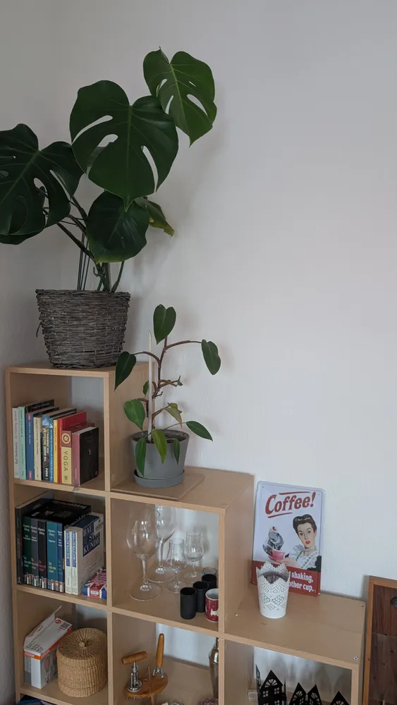 2 Zimmer Wohnung mit 45 m² in Leipzig – Bild 10
