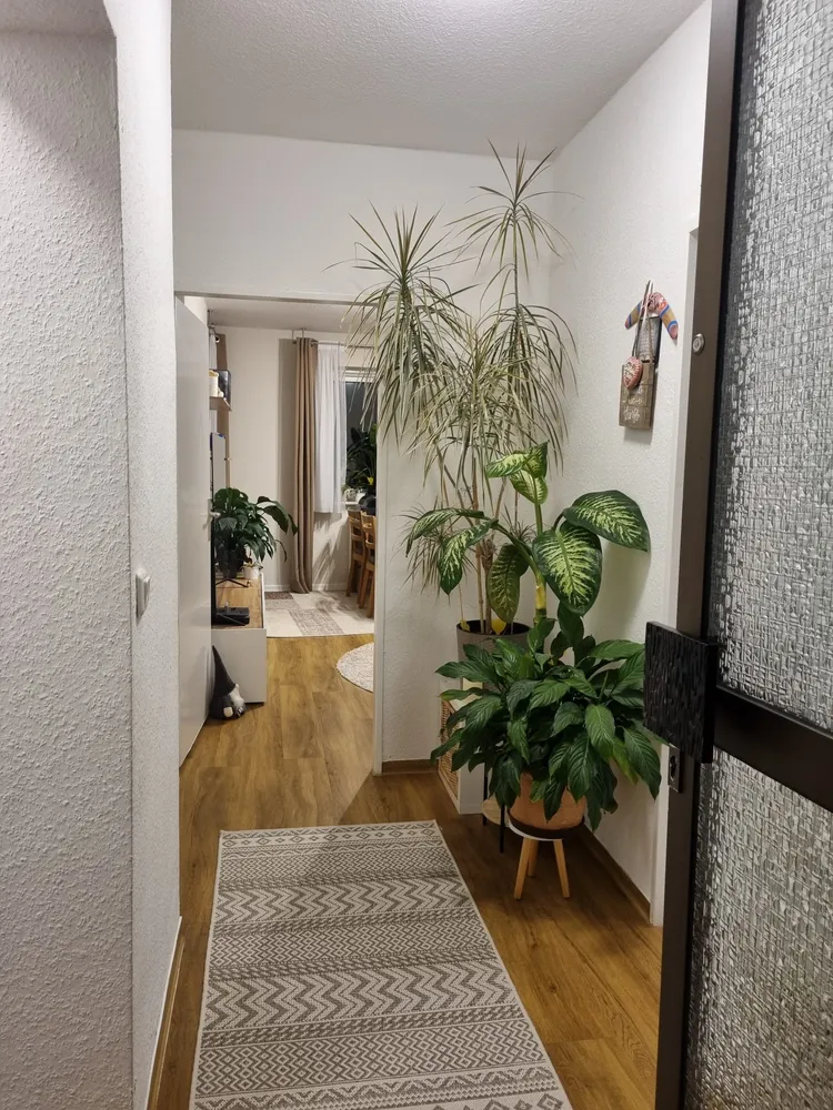 2 Zimmer Wohnung mit 55 m² in Frankfurt am Main – Bild 6