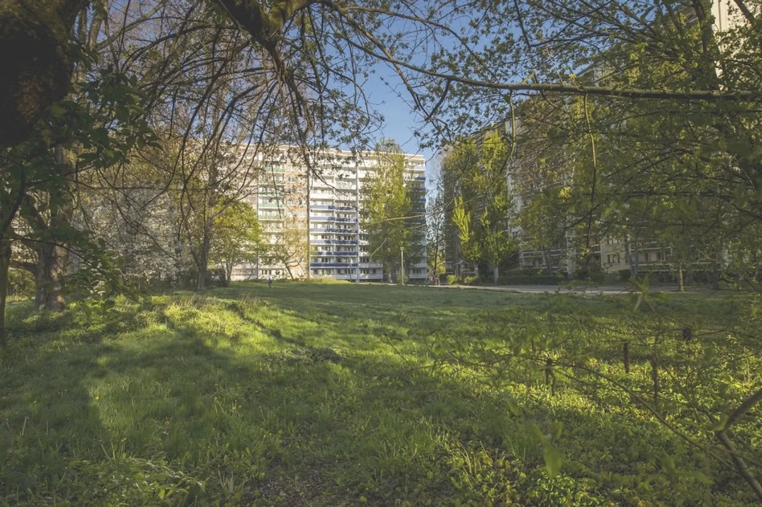 2 Zimmer Wohnung mit 51 m² in Berlin – Bild 3
