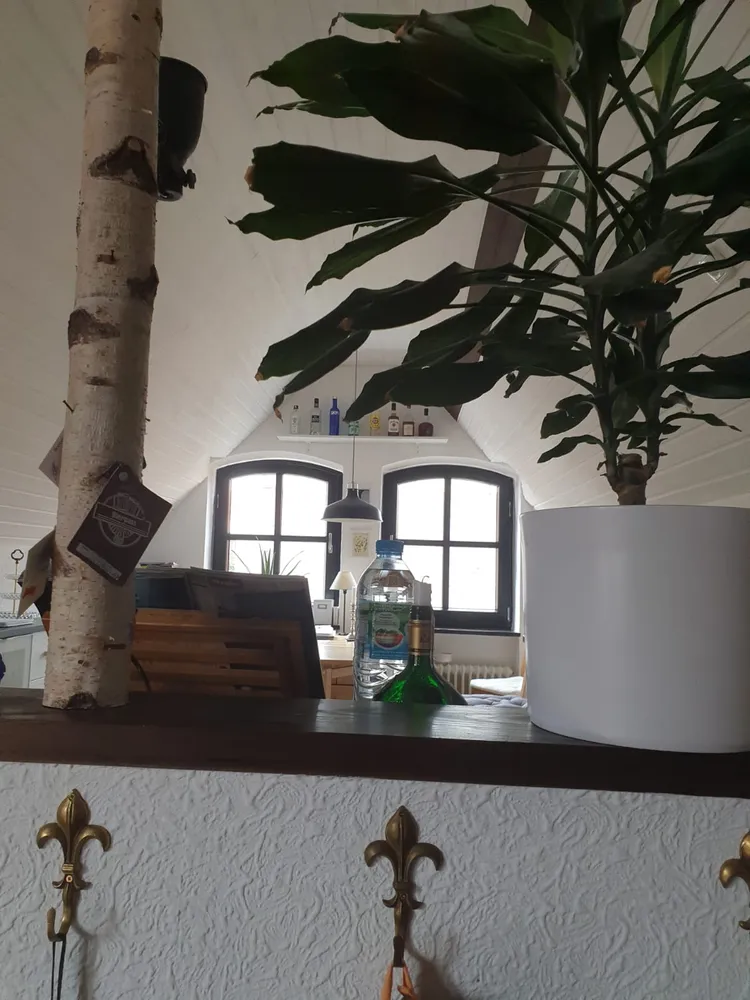 3 Zimmer Wohnung mit 80 m² in Regensburg – Bild 2