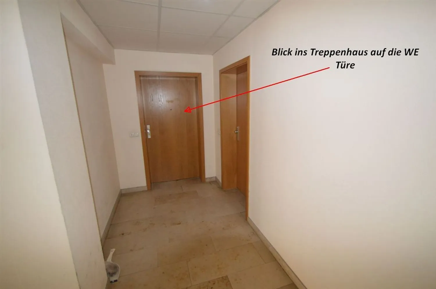 2 room apartment with 51 m² in Chemnitz – Photo 5