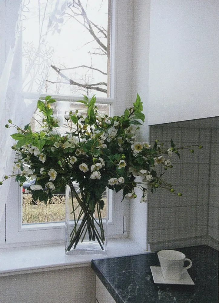 1 room apartment with 37 m² in Dresden – Photo 10