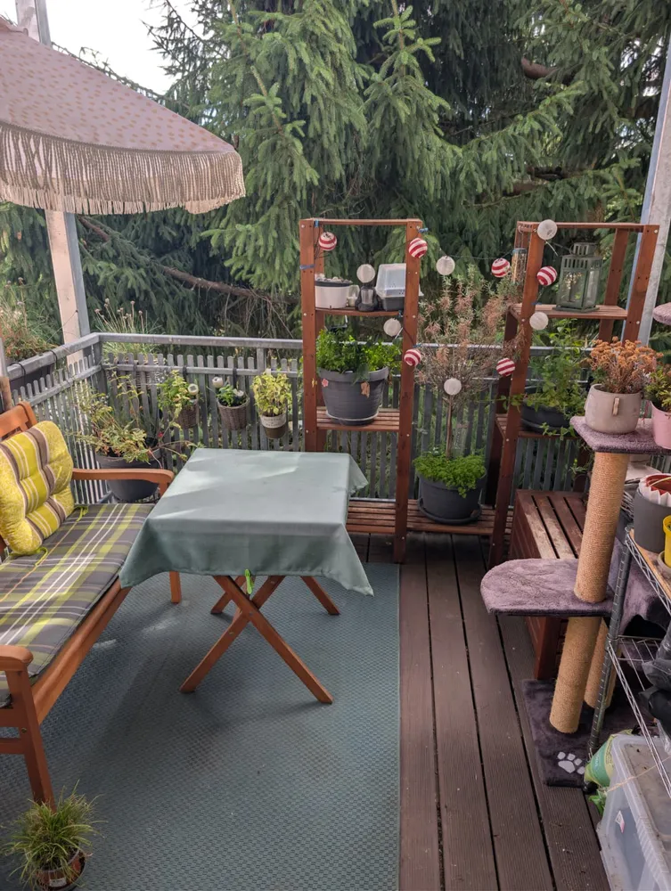 4 room apartment with 103 m² in Chemnitz – Photo 12