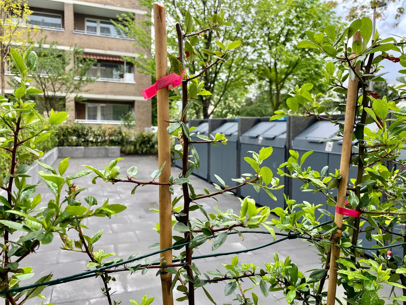 3 Zimmer Wohnung mit 73 m² in Düsseldorf – Bild 9