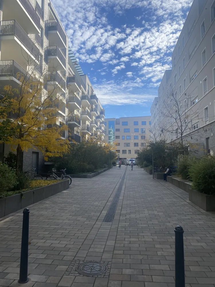 3 Zimmer Wohnung mit 93 m² in Mannheim – Bild 1