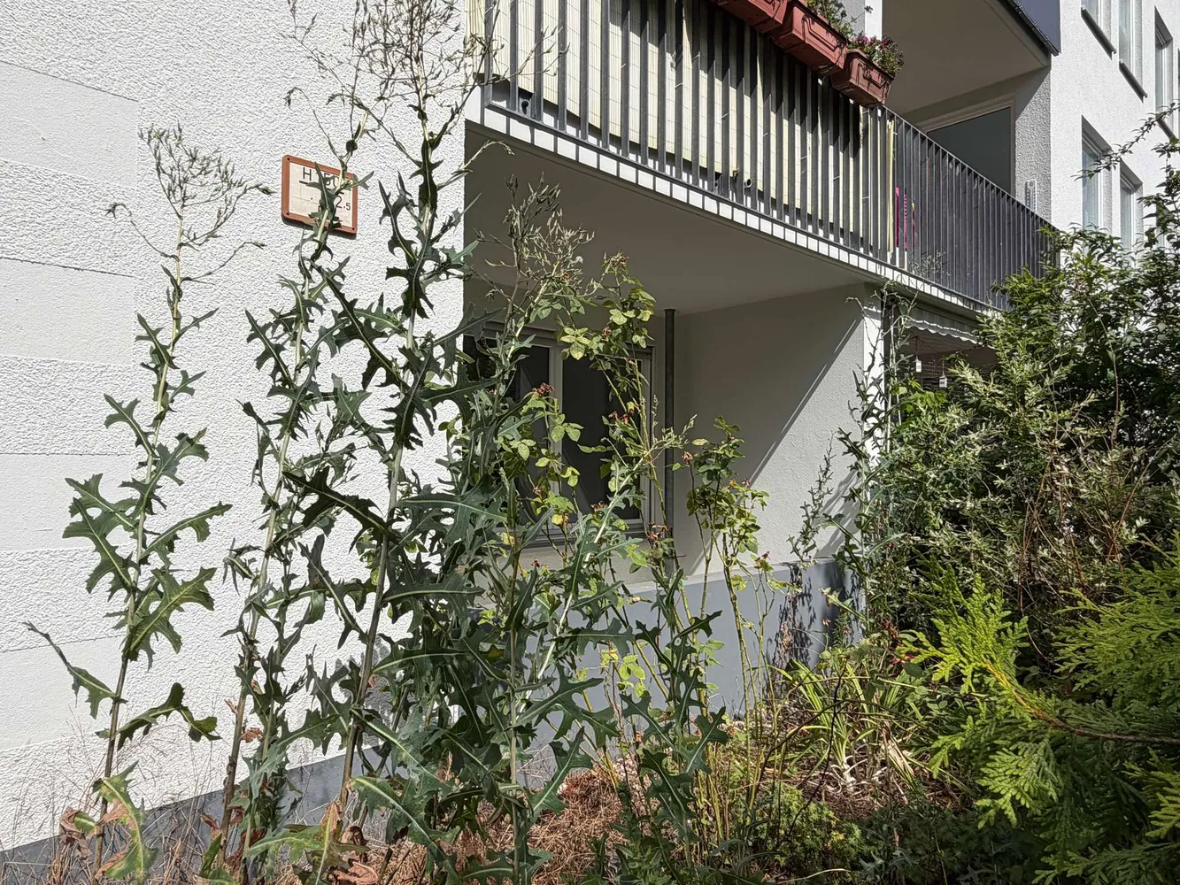 2 room apartment with 51 m² in Berlin – Photo 7