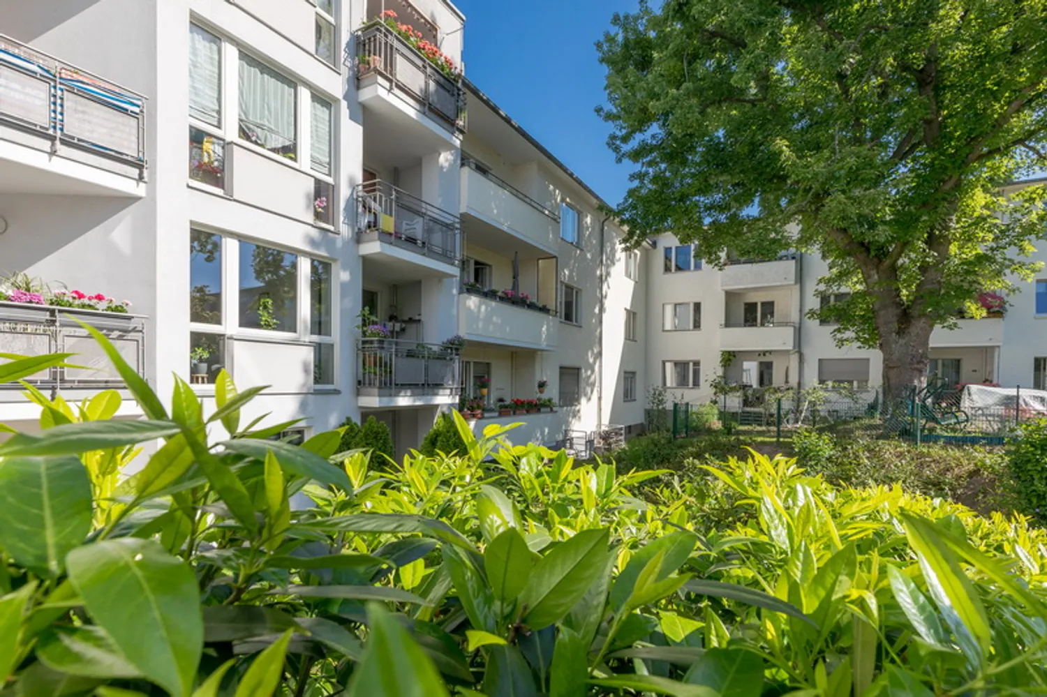 1 room apartment with 43 m² in Berlin – Photo 2
